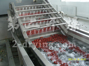 红枣带式干燥机